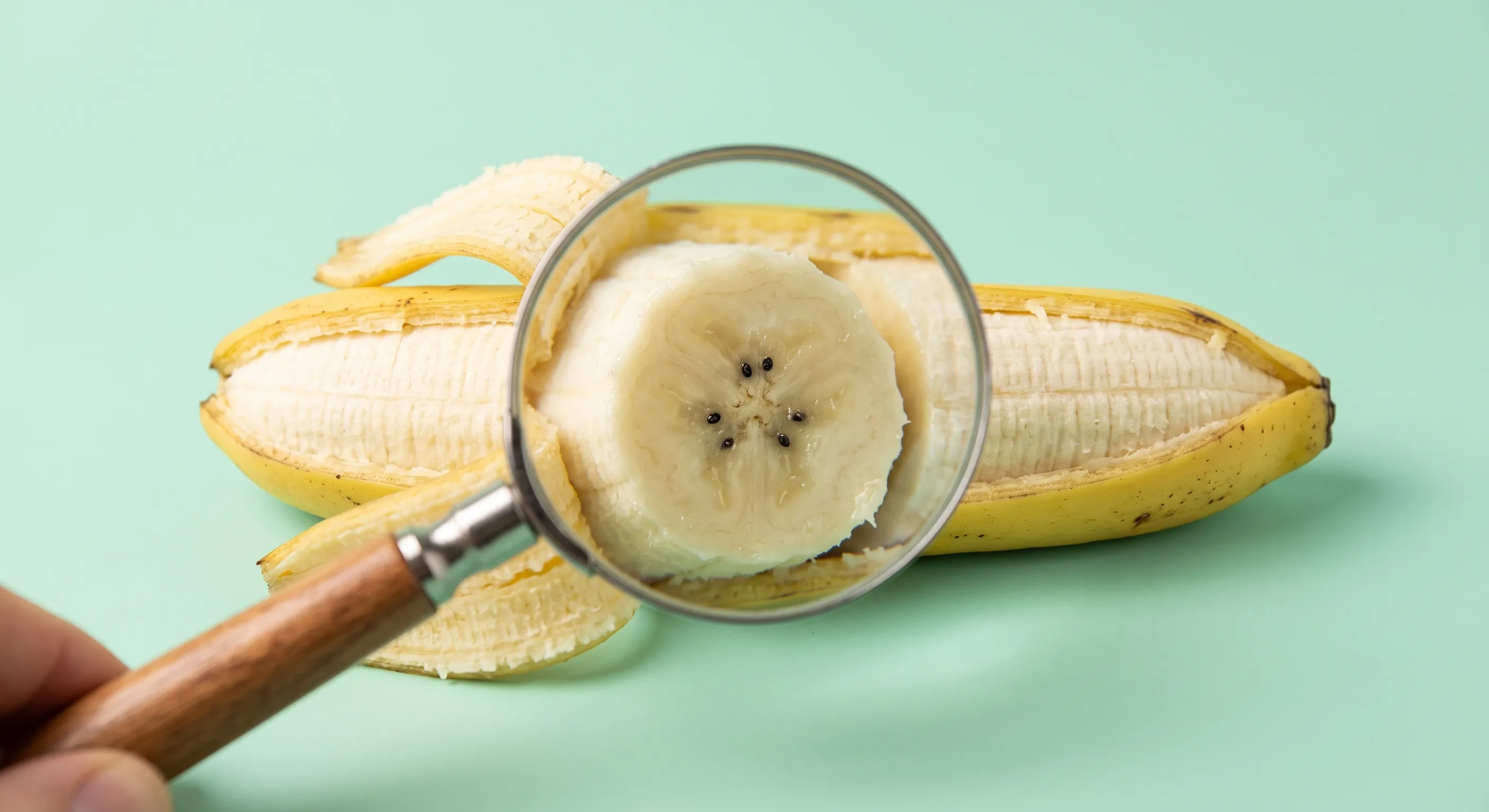 Is a Banana a Berry? The Surprising Botanical Truth